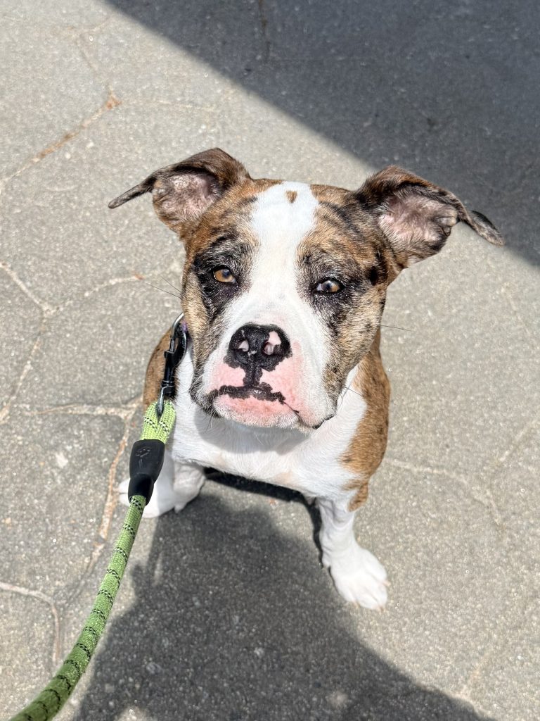 Lena